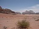 Wadi Rum 7